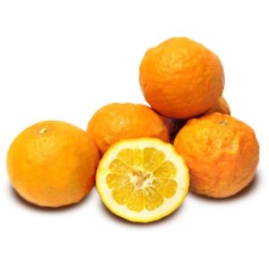 Cagette d'oranges (12Kg)